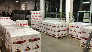 Fresh Royal Gala Apple at Wholes Price. تفاح رويال جالا طازج بسعر الجملة