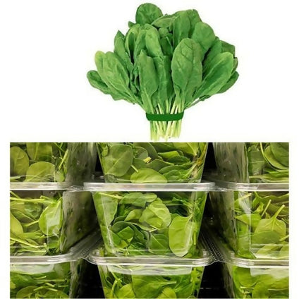 Best Selling Fresh Spinach Wholesales Price Per Packet