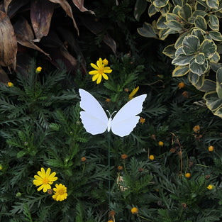 10pcs White 3D Butterfly Garden Stake Decorations, Waterproof PVC Butterfly For Wedding Decor, Party Arrangement, Indoor & Outdoor Use, Decorative Art, 11.99cm Wingspan With 30.0cm Stick