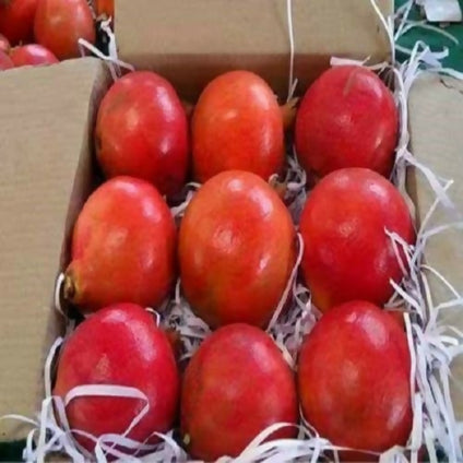 Bulk Sales of Fresh Pomegranate per kilogram