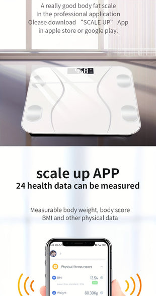 Analyzer and Body Weight Scale