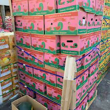 Best Selling Yemeni Mango at Wholesales Price Per Carton