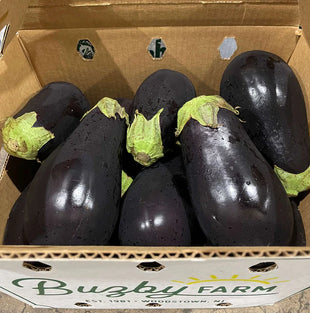 Fresh Egg Plant wholesales available at affordable price