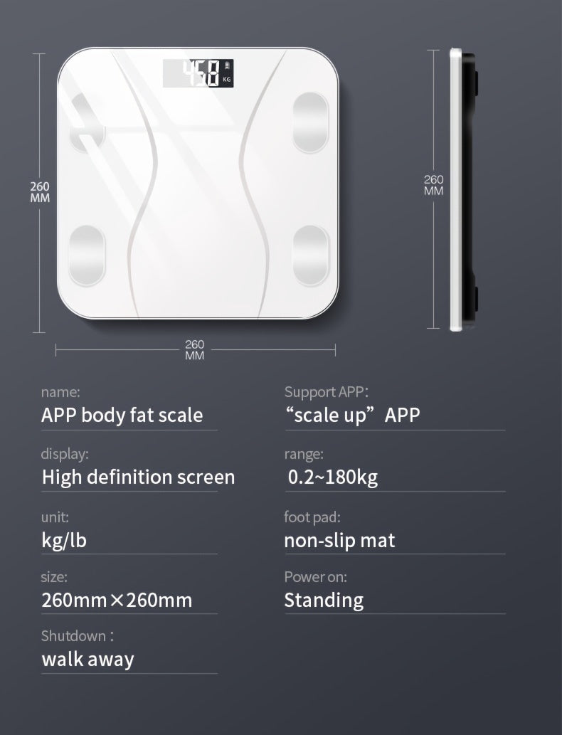 Analyzer and Body Weight Scale