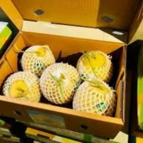 sweetmelon3