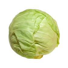 Fresh Iranian Green Cabbage at wholesales price