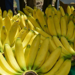 banana1