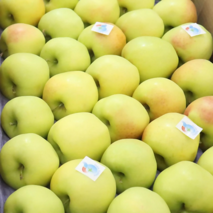 Fresh Golden Apple availbale in large quantties