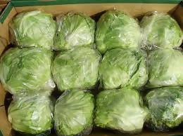iceberge7