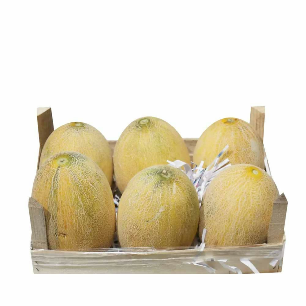 cantaloupe7