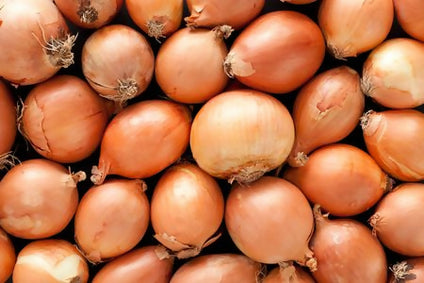 Fresh Brown/Yellow Onion available in large quantity