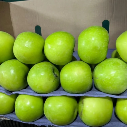 Fresh Green Apple in a large qauntity is available