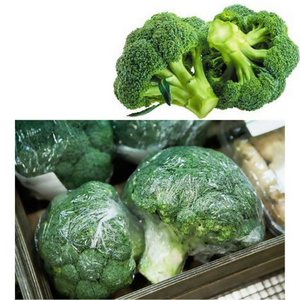 Best Selling Fresh Brocoli Vegetables at Wholesales Price Per kg