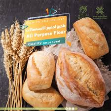 دقيق متعدد الاستخدامات