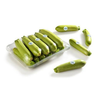 Best Selling Zuccinni (Koosa) Vegetable at Wholesales Price Per Kg