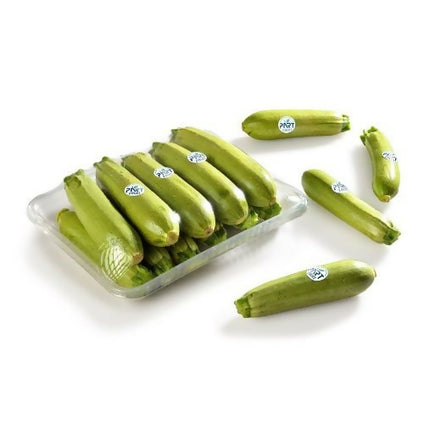 Best Selling Zuccinni (Koosa) Vegetable at Wholesales Price Per Kg