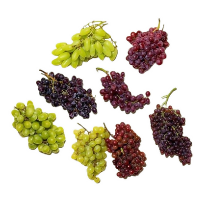 Best Selling Fresh Grapes at Wholesales Prices Per Kg