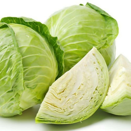 Fresh Omani Cabbage for wholesales