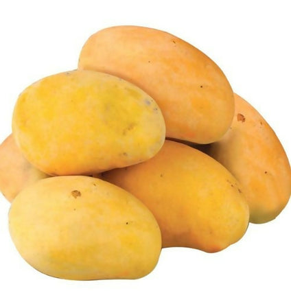 Best Selling Pakistani Mango at Wholesales Price Per Carton