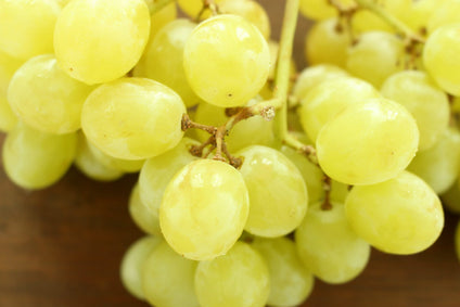 Fresh White Grape available at wholesales prices