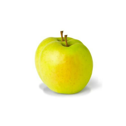 Fresh Golden Apple availbale in large quantties