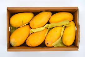 pakimango2