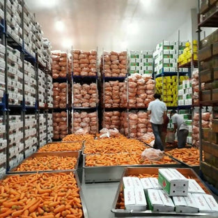 Fresh Carrot wholesales price