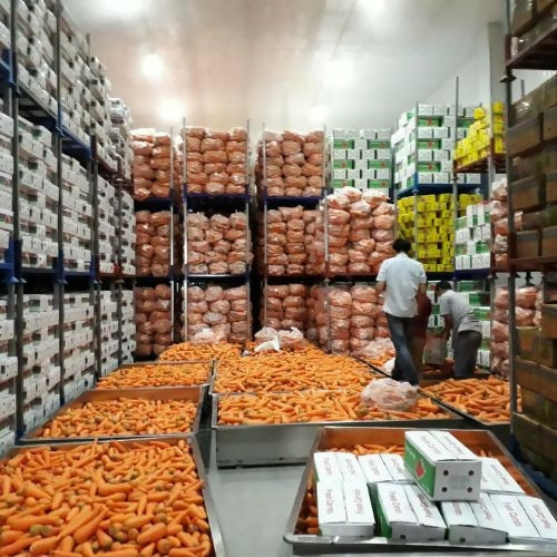 carrotfactory