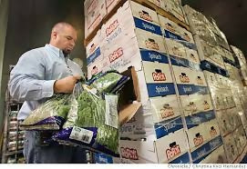Best Selling Fresh Spinach Wholesales Price Per Packet