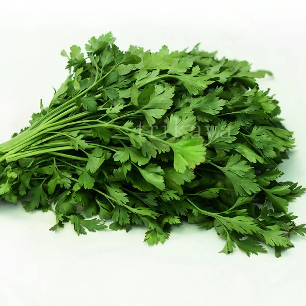 parsley2