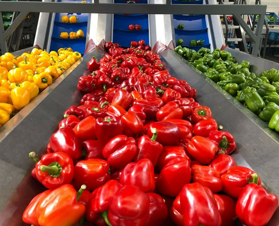 pepperpro