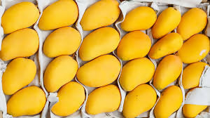 Best Selling Pakistani Mango at Wholesales Price Per Carton