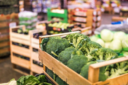 Best Selling Fresh Brocoli Vegetables at Wholesales Price Per kg