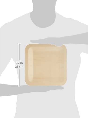 Fun® Biodegradable Wooden Square Plate poplar (8.5 inch Square- 10pcs) Disposable Plates and Compostable plant-based Natural 100% - Wedding, Party Supplies, Home Use