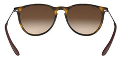 RayBan Erika Unisex