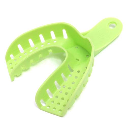 10x Dental Impression Trays Plastic Tooth Tray U Shape Teeth Holder Tools Green