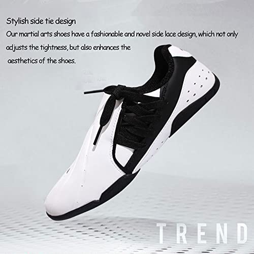 Indoor Taekwondo Karate Martial Arts Shoes Adult Kids Men Women Contestant Trainers,Men's Taekwondo Karate Martial Arts Shoes Anti-Slip Sneakers Sport Shoes Breathable For Kung Fu TaiChi Boxing Gym (41 EU)