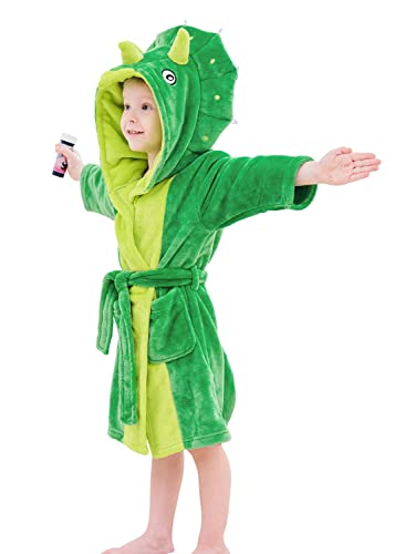 LOLANTA Boys' Girls' Hooded Flannel Bathrobes Kids Sleepwear Dinosaur Dressing Gown Christmas Gift 2-3Y