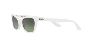 Ray-Ban Women's Rb2299 Lady Burbank Cat Eye Sunglasses