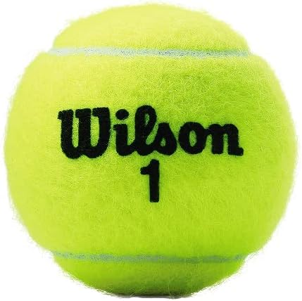 Wilson Championship Regular and Extra Duty Tennis Balls