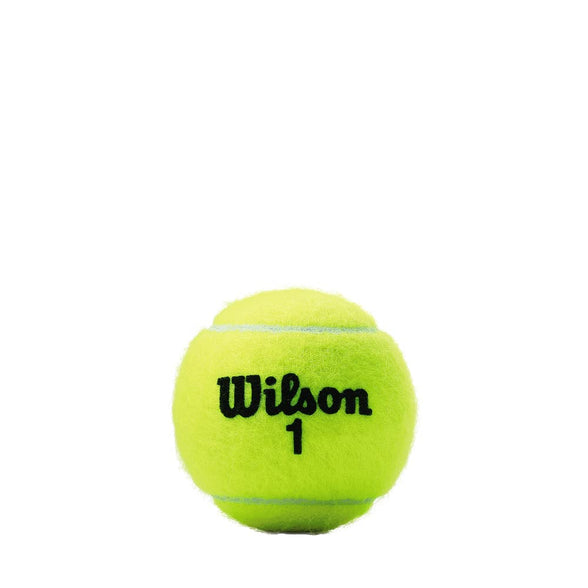 Wilson Championship Regular and Extra Duty Tennis Balls