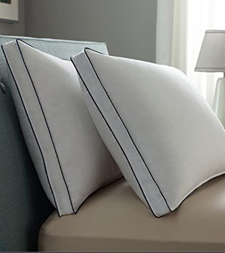 Hotel Linen Klub DEYARCO Princess Pack of 2 Down Feather Alternative Cotton Proof Pillow Double Piping 50x75cm,2600grms/set, White