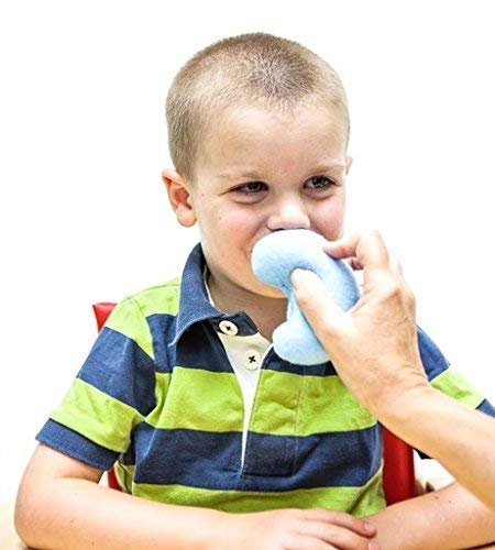 TalkTools Sensory Bean Bag Kit – A Fun and Safe Way to Benefit Clients with Tactile-Defensive behaviors, hyposensitivity, or hypersensitivity| Helps normalize Sensory Awareness.