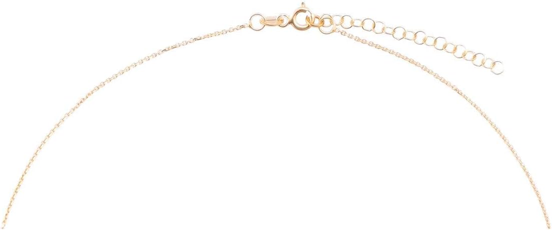 Alwan-Accessories Silver (Gold Plated) Valentine's Necklace with Arabic Initials for Women - EE7495GAI