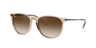 Ray-Ban RB4171 Erika Sunglasses