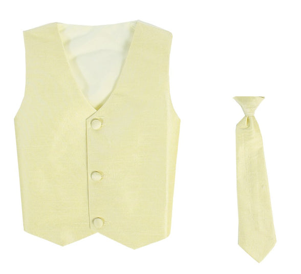 Lito Vest And Clip On Boy Necktie Set (0-12 Months)