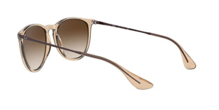 Ray-Ban RB4171 Erika Sunglasses