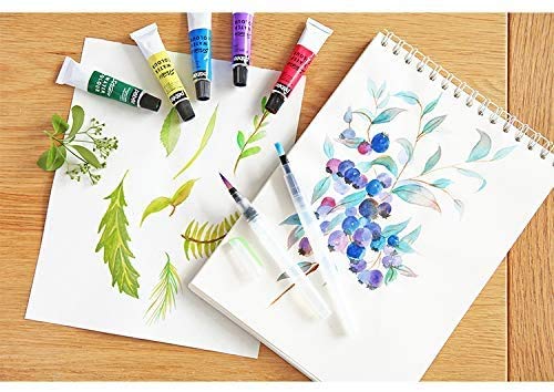 Premify Watercolor Brush Pen Paintbrush Pack of 6 - Assorted Nibs. Refillable Ink and Water Brush Pens for Watercolour Acrylic Art/Painting, Colour Blending and Calligraphy Brushes, Artists Brushpens