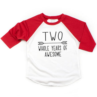 Bump and Beyond Designs Second Birthday Boy Shirt 2nd Birthday Shirt for Boys