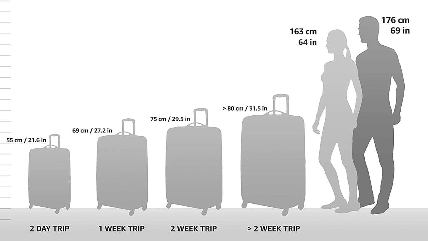 Travel Select Amsterdam Expandable Rolling Upright Luggage